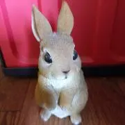 のりの画像