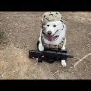 小林様引っ越しの断捨離…..の画像