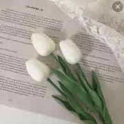プロフ必読⭐️在庫確認お願いします！の画像