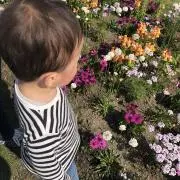むちゃこの画像