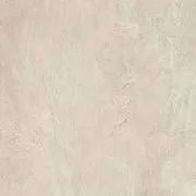 その画像