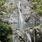 たの画像