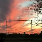 つぶ