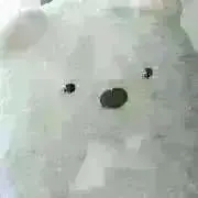 むー ☆の画像