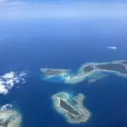 しーの画像