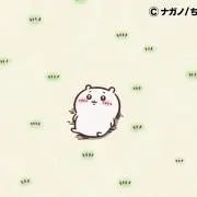 みーこの画像