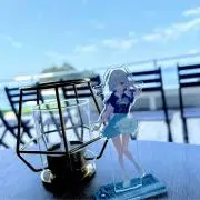 zinnの画像