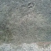 水