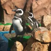 みんの画像