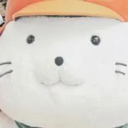 ひこねこ