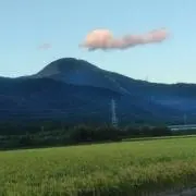 たこちゃん