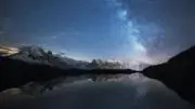 Stellaの画像