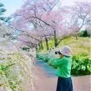 halka_shopの画像