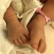 こなむし