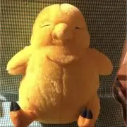 かけストア24H以内発送◎フォロー割ありの画像