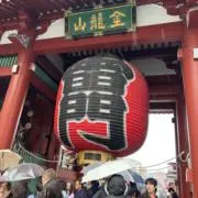 deppの画像