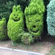 トオルの画像
