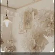 N.の画像