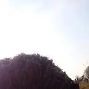 Buka