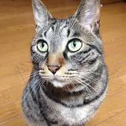 らっぴぃの画像
