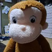 カエルの画像