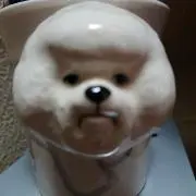 こうちゃんの画像