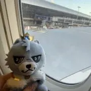 まいまいの画像