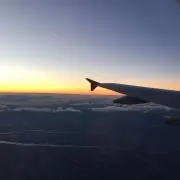 teruの画像