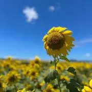 まいどんの画像