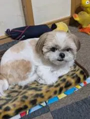 karen