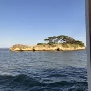 オムライスの画像