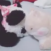 まめちむ