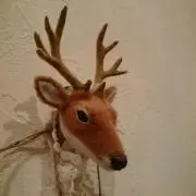 ちゃか