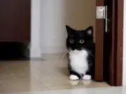 ウニの画像