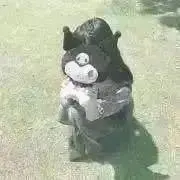 Minの画像