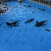 yu。の画像