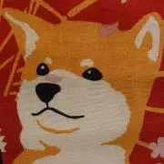 ユリの画像