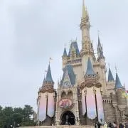 ゅゅの画像