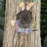 くぎ