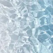 ꒰՞⸝⸝ᴗ ·̫ ⊂՞꒱の画像