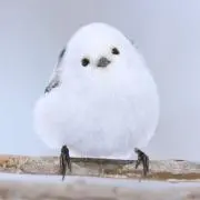 ずんずん
