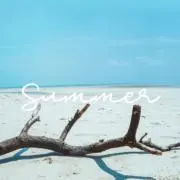 Sea【断捨離に伴い多数値下げ中】の画像