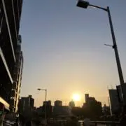 hide-trの画像