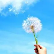 ☆の画像
