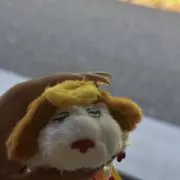 rinの画像