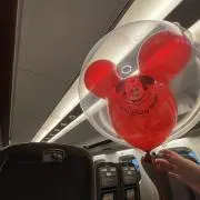 エリカの画像