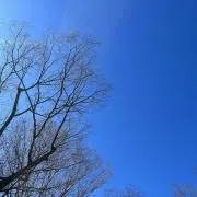 るんるん