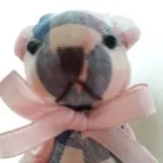 neriの画像