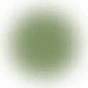 みんの画像
