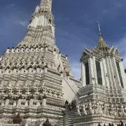 おたけの画像